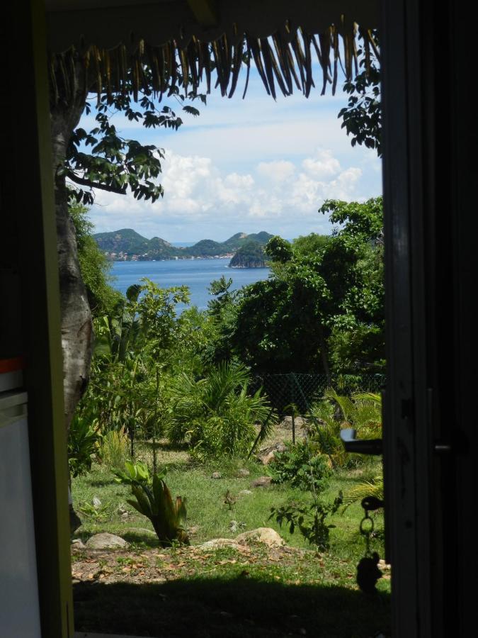Residence Coco D'Iles, Gite Ti Bambou Terre-de-Bas Buitenkant foto