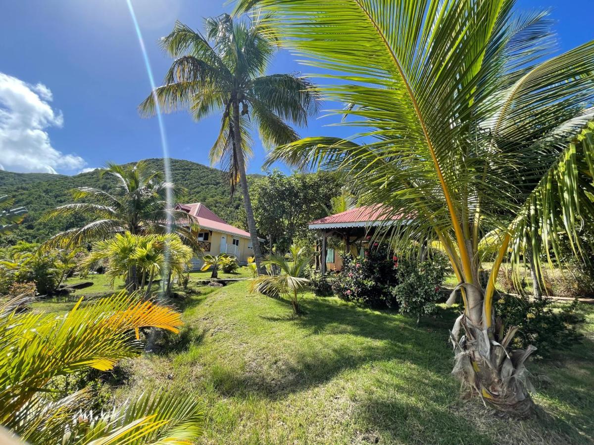 Residence Coco D'Iles, Gite Ti Bambou Terre-de-Bas Buitenkant foto